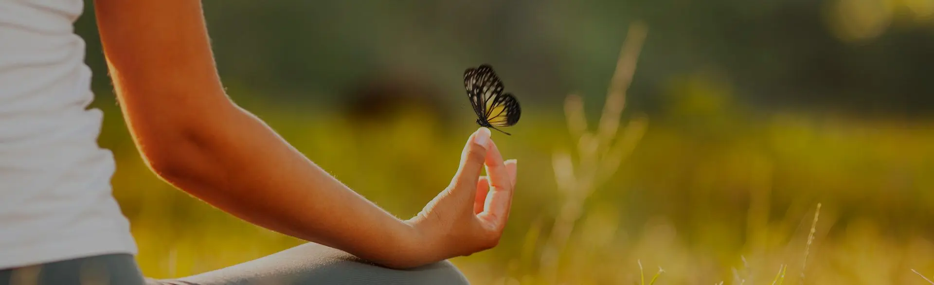 Bienestar Holístico