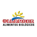 OLEANDER