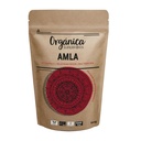 AMLA 100G BIO ORGANICA SUPERFOODS