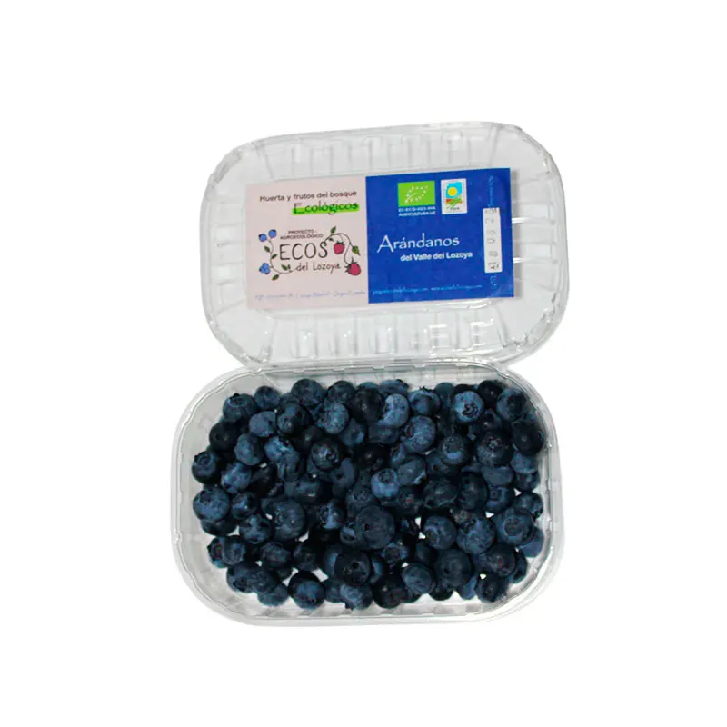 Arandanos-ecológicos-BIO-Ecos-del-Lzoya-125gr_abiertos.webp