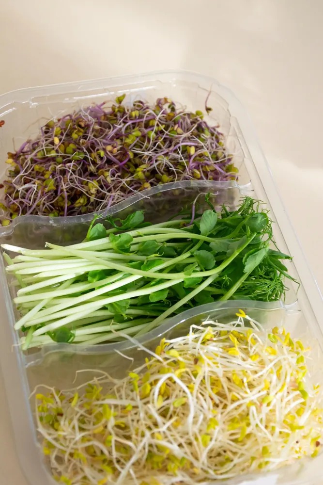 germinado-nutrimix-60g-brot-dor-detalle-espacioorganico.jpg