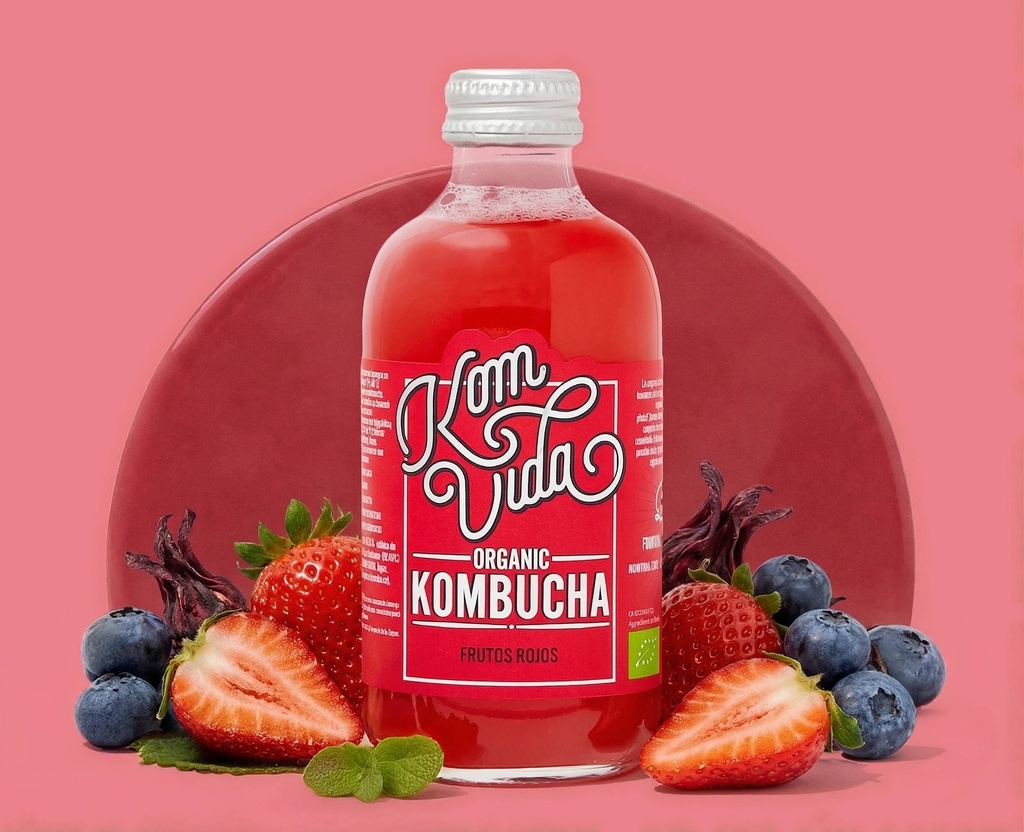 KOMBUCHA FRUTOS ROJOS 250ML KOMVIDA