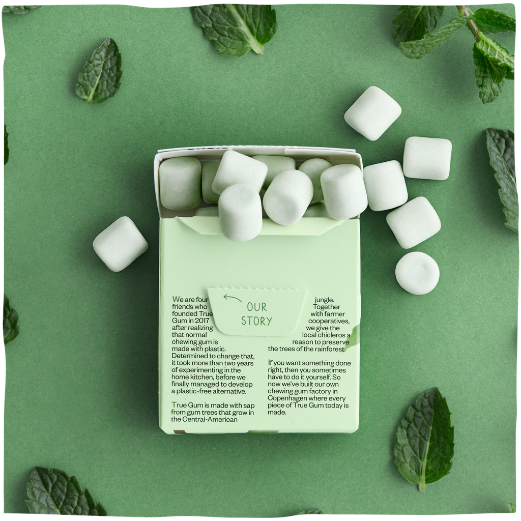 CHICLE DE MENTA FRESCA 21G TRUE GUM