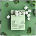 CHICLE DE MENTA FRESCA 21G TRUE GUM