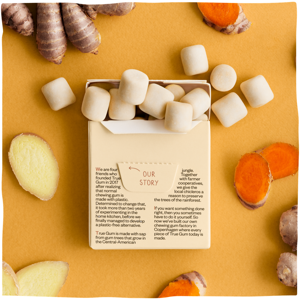 CHICLE DE JENGIBRE Y CURCUMA 21G TRUE GUM