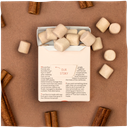 CHICLE DE CANELA 21G TRUE GUM