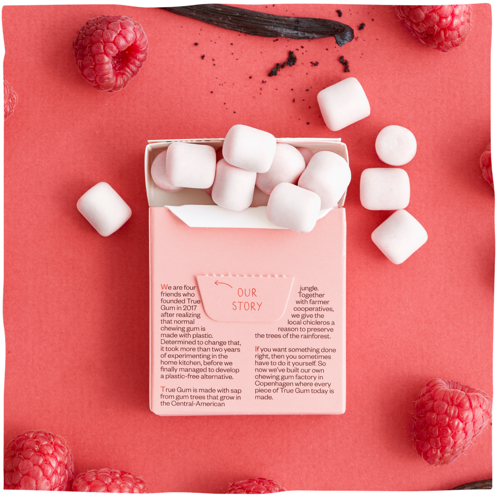 CHICLE DE FRAMBUESA Y VAINILLA 21G TRUE GUM