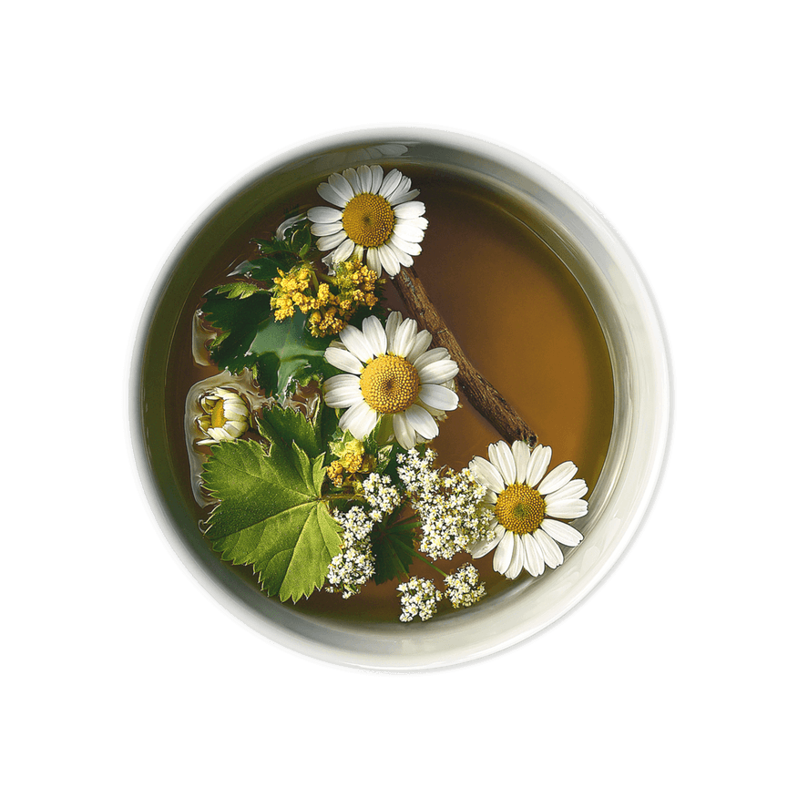 INFUSION CONFORT MENOPUSIA DE PIE DE LEON, MANZANILLA Y RAIZ ANGELICA 34G - YOGI TEA 