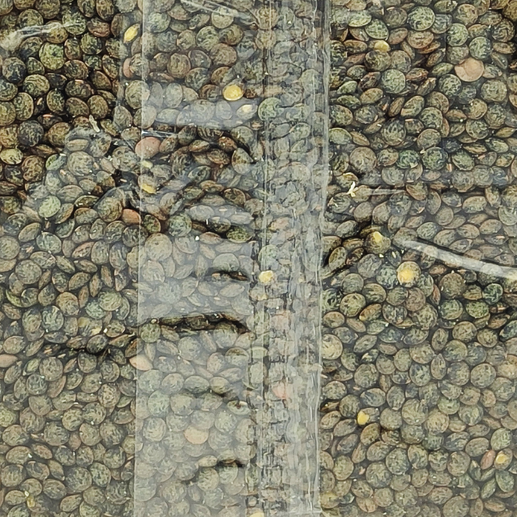 LENTEJA DUPUY 500G BIONSAN