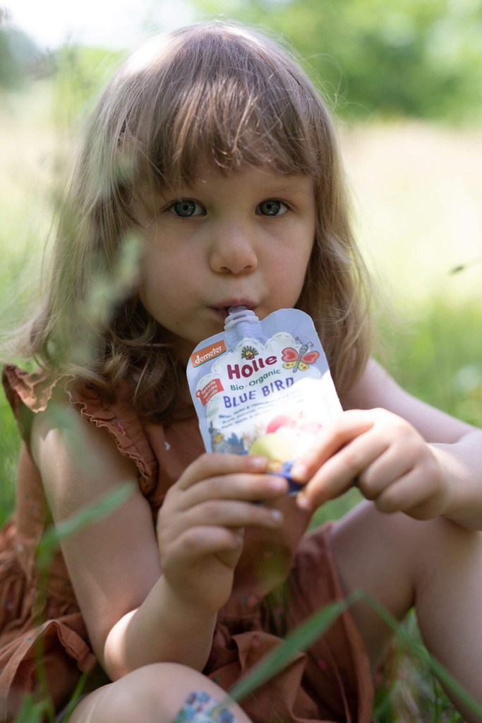 SMOOTHIE PERA-MANZANA-ARÁNDANO-AVENA 100ML HOLLE