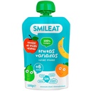 POUCH FRUTAS VARIADAS 100G SMILEAT