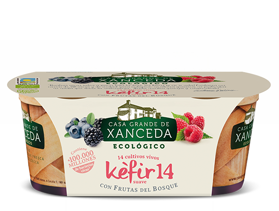 KÉFIR 14 CON FRUTAS DEL BOSQUE 2X125G CASA XANCEDA