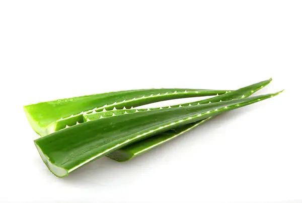 HOJAS ALOE VERA (GRANEL)