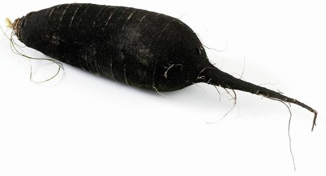 NABO NEGRO (GRANEL)
