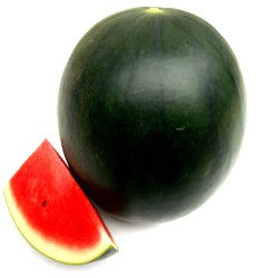 SANDÍA FASHION (GRANEL)