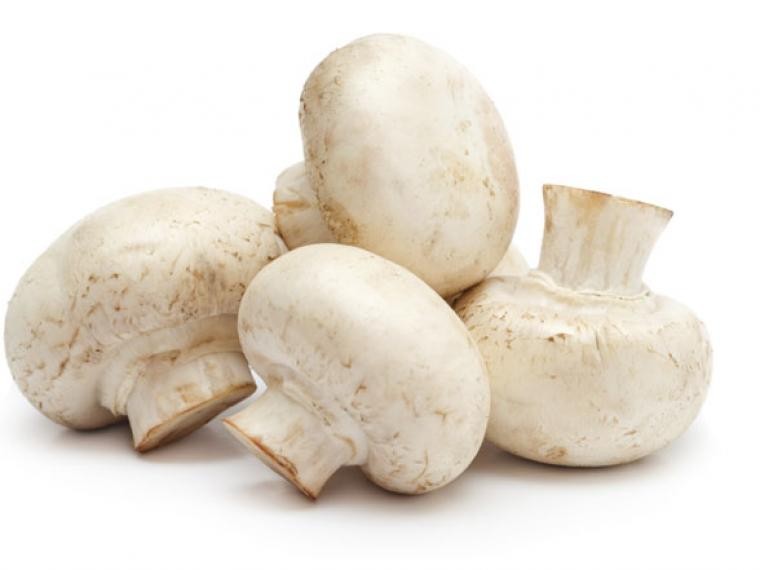 CHAMPIÑON BLANCO (GRANEL)