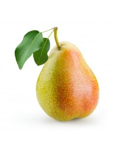 PERA ETRUSCA (GRANEL)