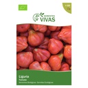 TOMATE LIGURIA SEMILLA 0,3G SEMILLAS VIVAS