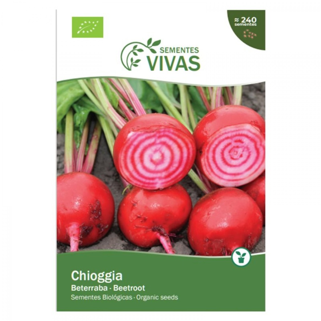 REMOLACHA CHIOGGIA SEMILLAS PARA CULTIVAR SEMILLAS VIVAS