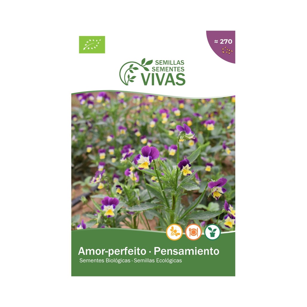PENSAMIENTOS SEMILLAS PARA CULTIVAR SEMILLAS VIVAS