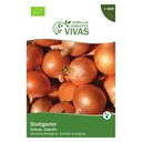 CEBOLLA SEMILLAS PARA CULTIVAR SEMILLAS VIVAS