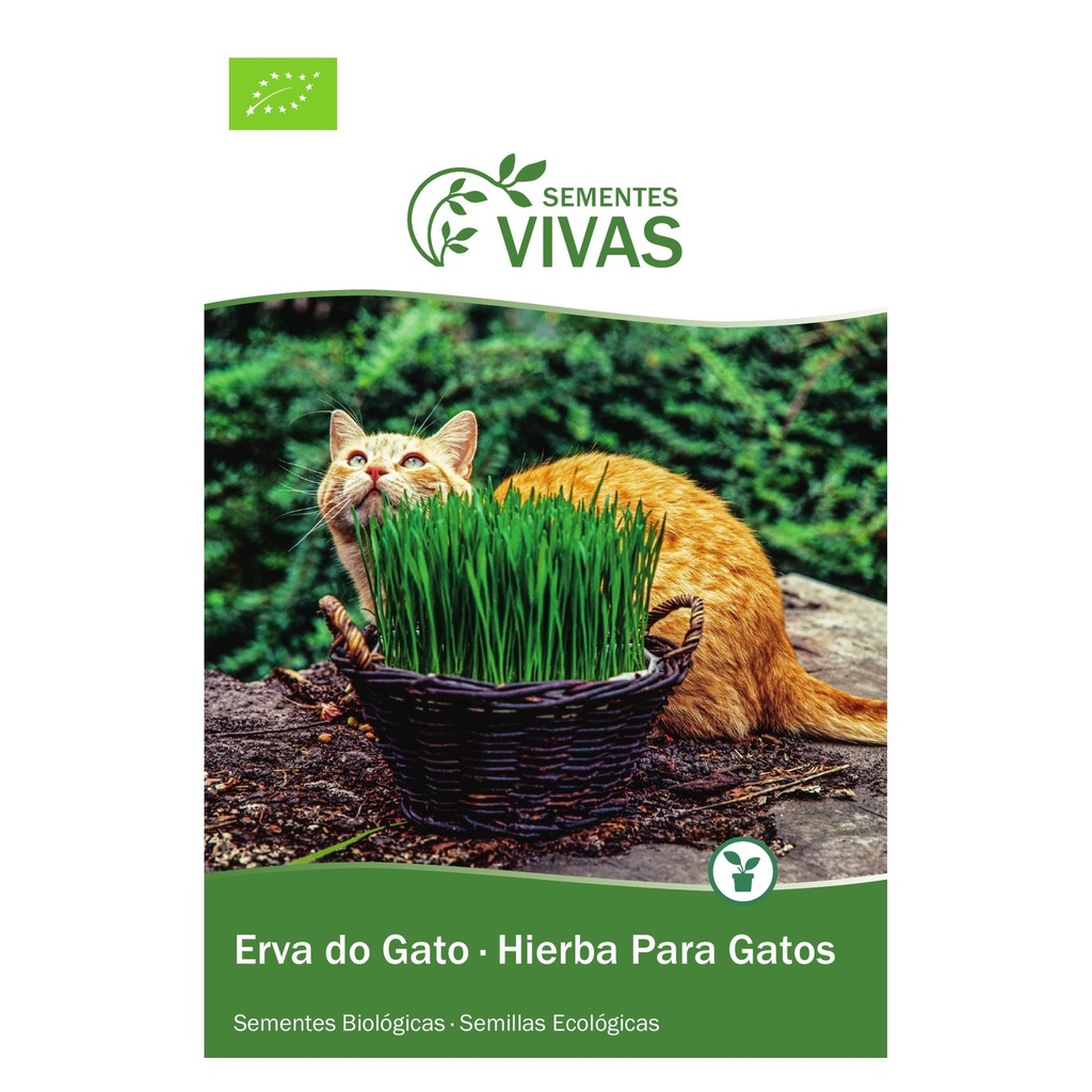 HIERBA PARA GATOS 30G SEMILLAS VIVAS