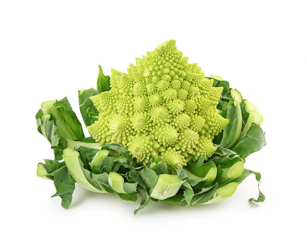 ROMANESCU UD