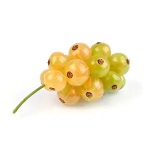 GROSELLA BLANCA 125G ECOS DEL LOZOYA