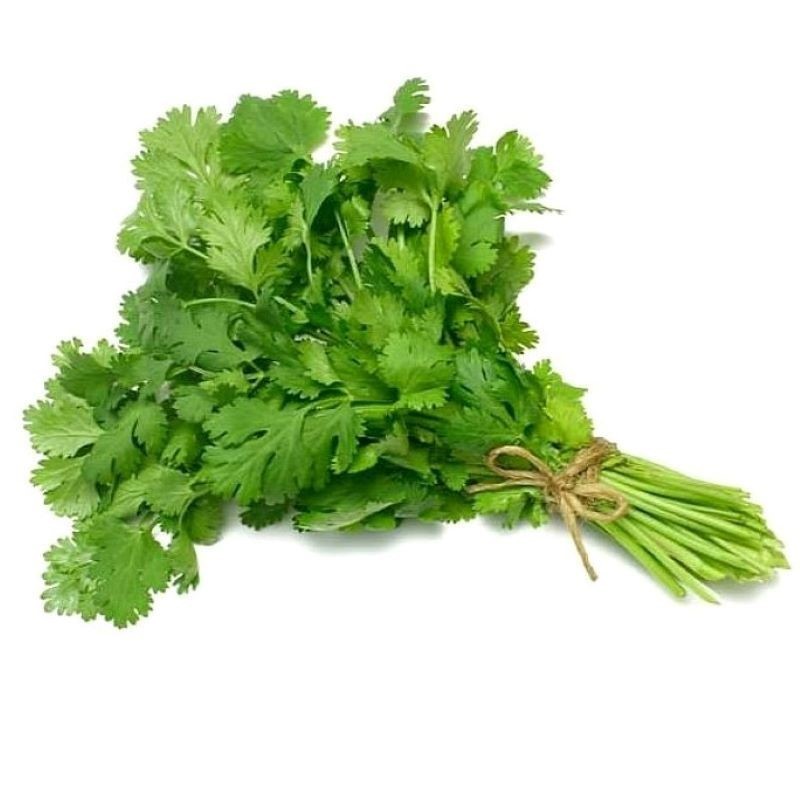 CILANTRO FRESCO 40G EL JARDIN DE SANSE