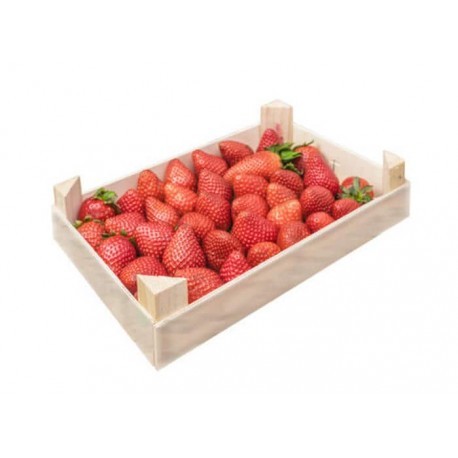 CAJA FRESON 1 KG