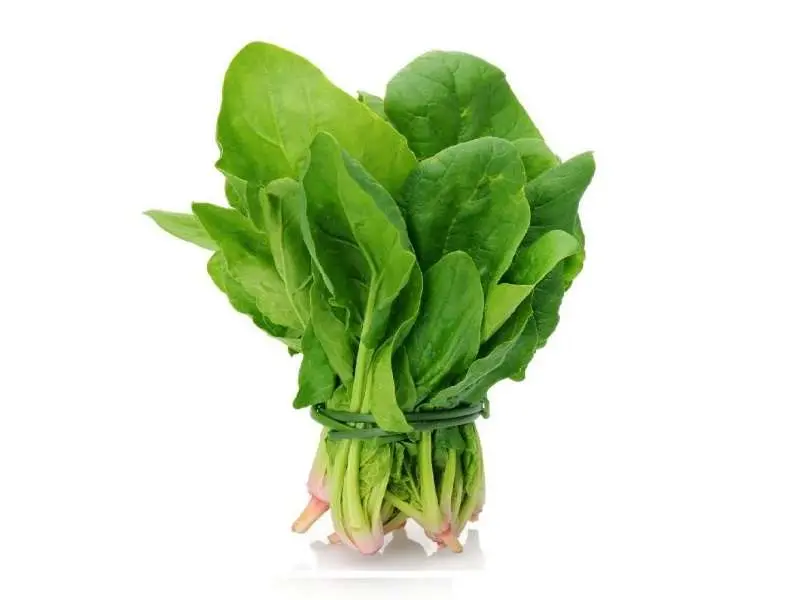 ESPINACA MANOJO