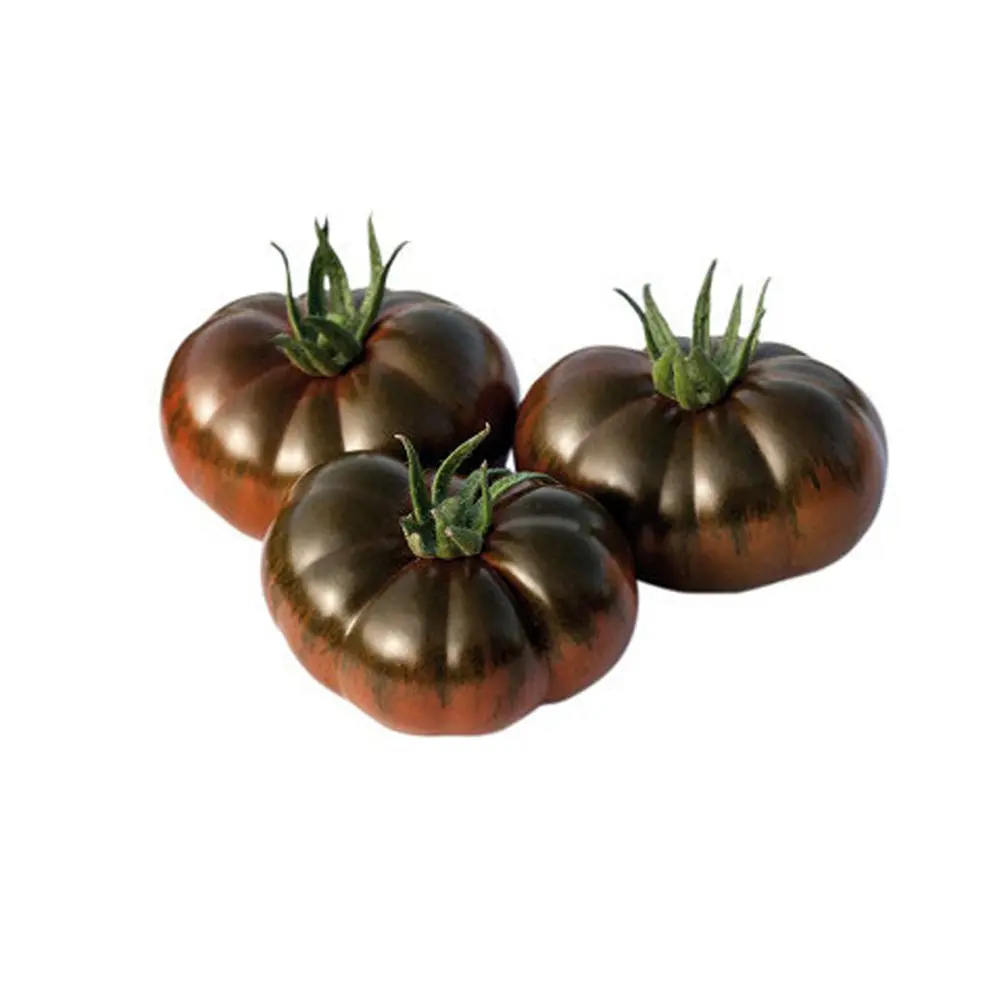 TOMATE RAFF NEGRO (GRANEL)