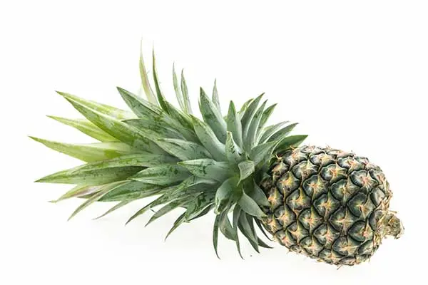 PIÑA (GRANEL)