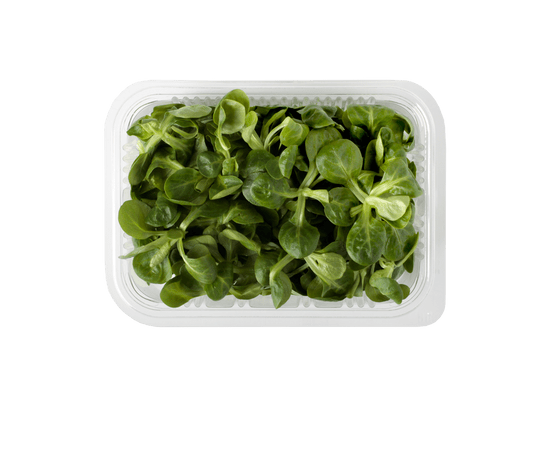 CANÓNIGOS 70G ECOAMA