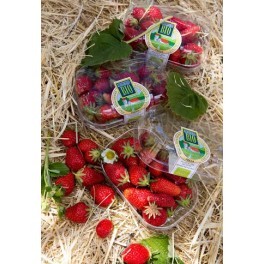 FRESAS BANDEJA 200G  MONJARAMA