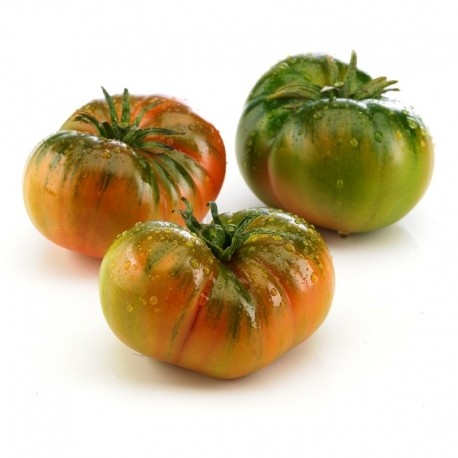 TOMATE RAFF (GRANEL)