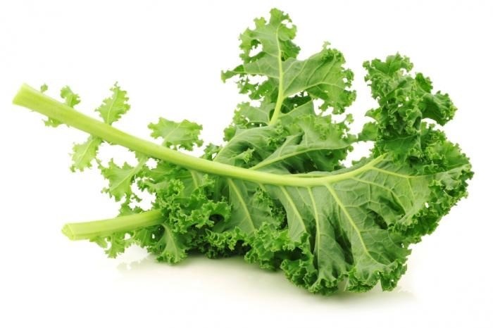 KALE (GRANEL)