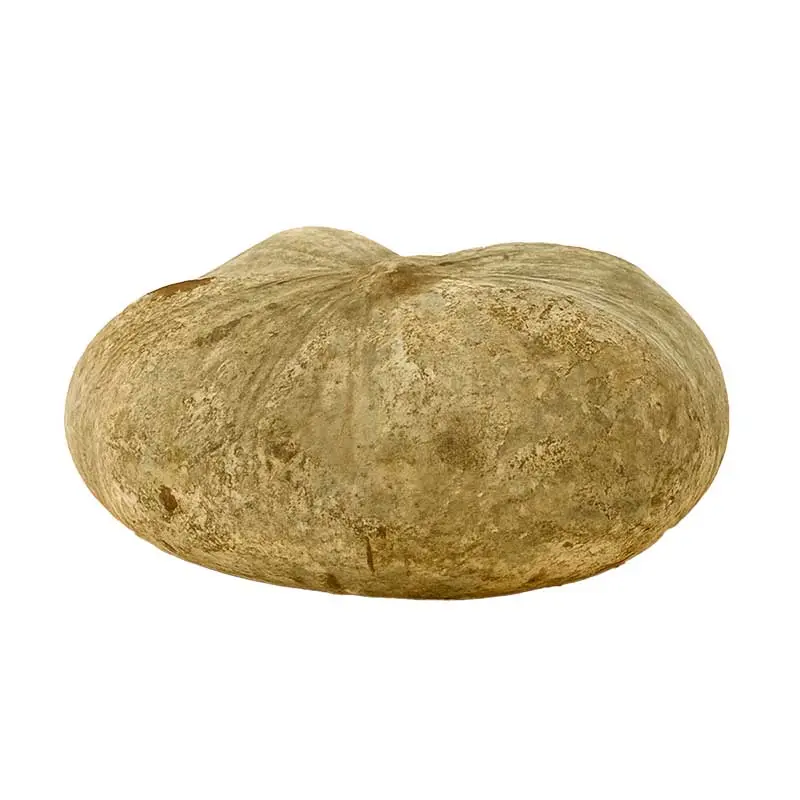 CUÑA QUESO CABRA SERVILLETA MADURADO 250G CERRON