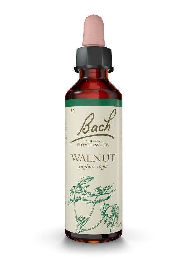 FLORES DE BACH WALNUT-NOGAL 20ML FLORES DE BACH 