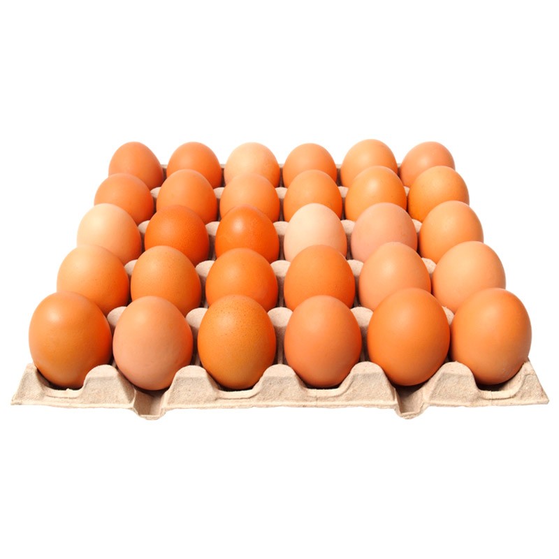 HUEVOS PLANCHETA (30u)  PEDAQUE