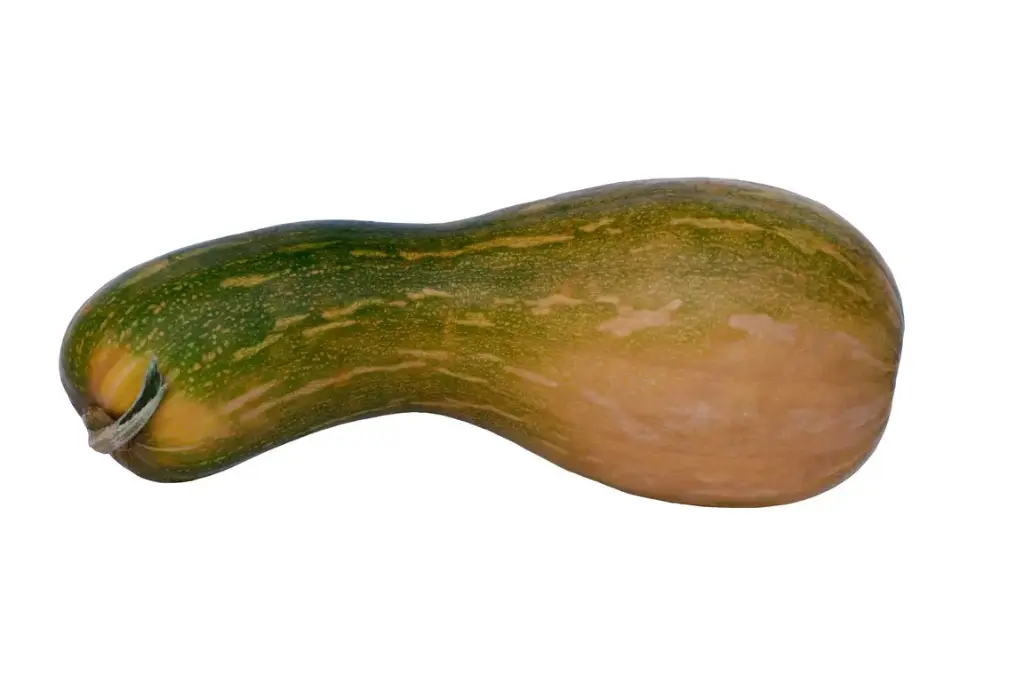 CALABAZA VASCA (GRANEL)