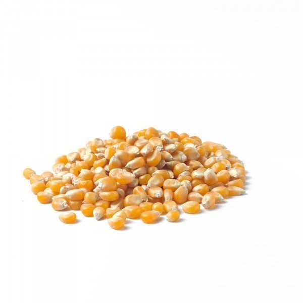 MAIZ PARA PALOMITAS (GRANEL)