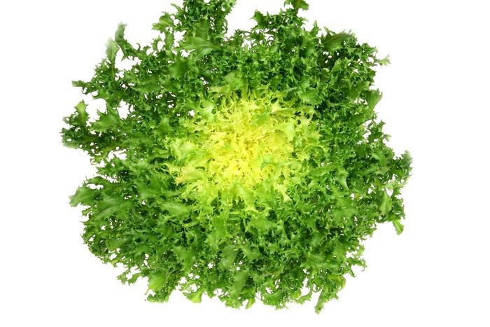ESCAROLA UD