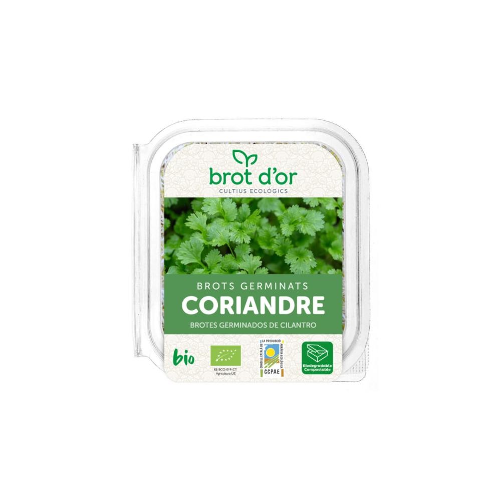 GERMINADO DE CILANTRO 50GR BROT D´OR