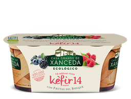 KÉFIR 14 CON FRUTAS DEL BOSQUE 2X125G CASA XANCEDA