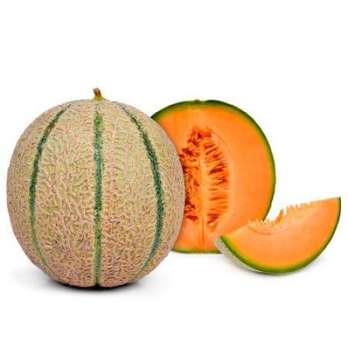 [21984] MELÓN CANTALOUPE (GRANEL)