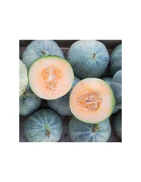 MELÓN PETIT GRIS DE RENNES SEMILLA 3G SEMILLAS VIVAS