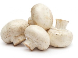CHAMPIÑON BLANCO (GRANEL)