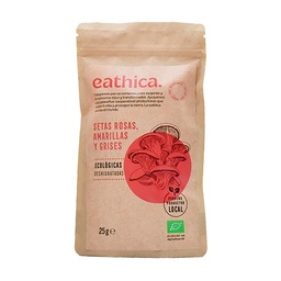 MIX DE SETAS DESHIDRATADAS 25G EATHICA