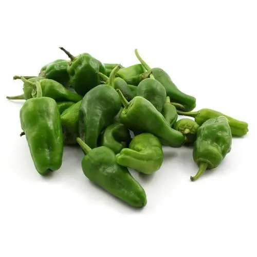 [18492] PIMIENTO PADRON (GRANEL)